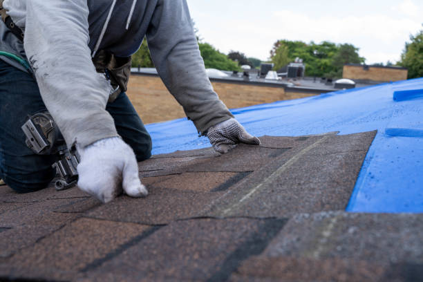 Roof Waterproofing Services in Lakeport, TX