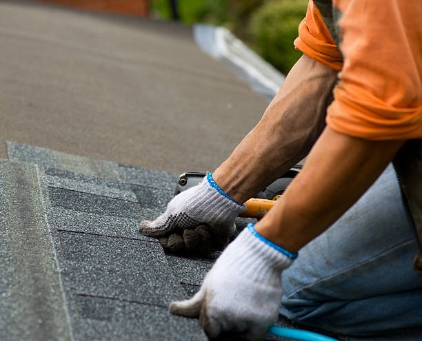 Roof Gutter Cleaning in Lakeport, TX